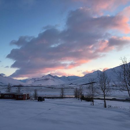 Hofthi Cottages Dalvik Exterior photo