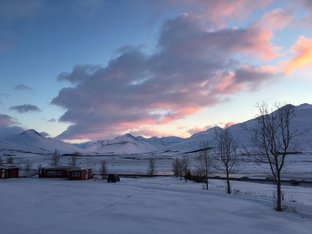 Hofthi Cottages Dalvik Exterior photo