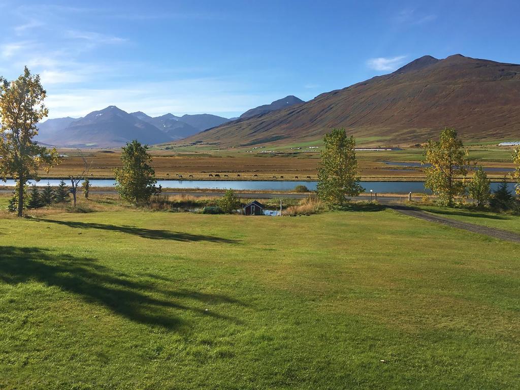 Hofthi Cottages Dalvik Exterior photo